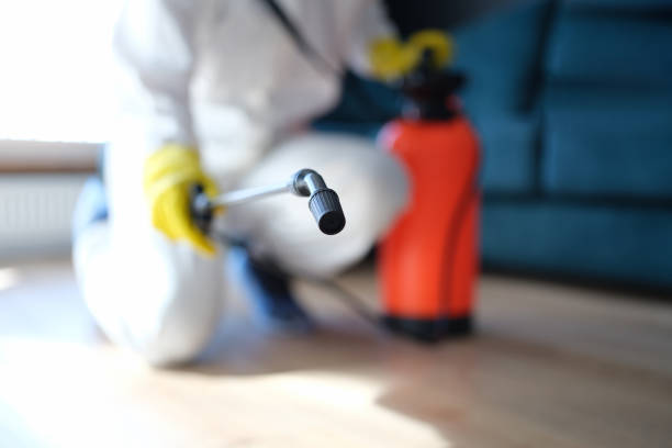 Best Airborne Mold Testing  in La Riviera, CA