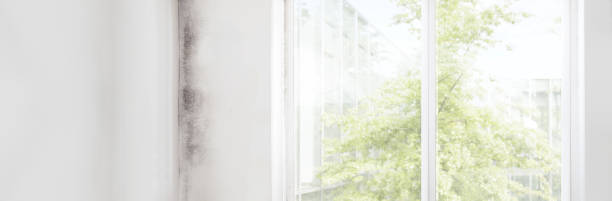 Best Forensic Mold Investigation  in La Riviera, CA